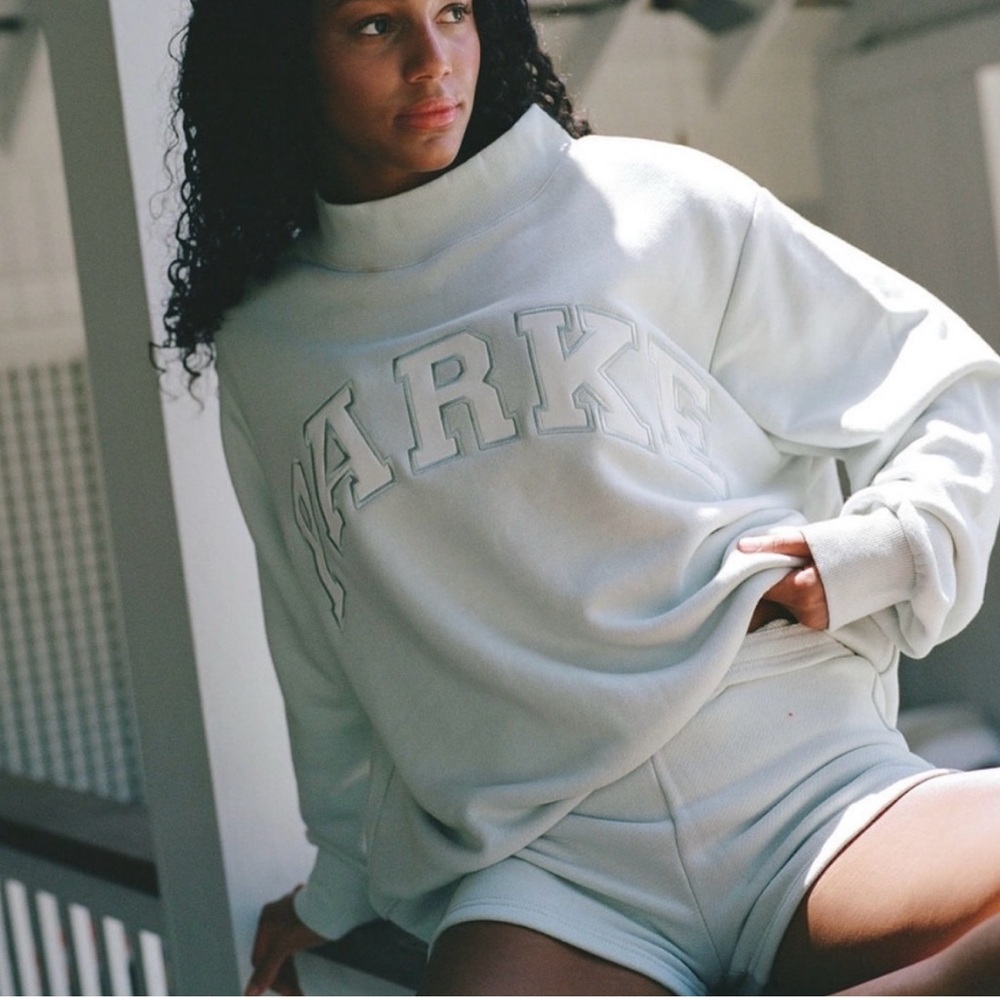Parke Oversized Crewneck Sweatshirt in Light Sage